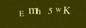 Validation image